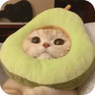 抖抈直播APP应用